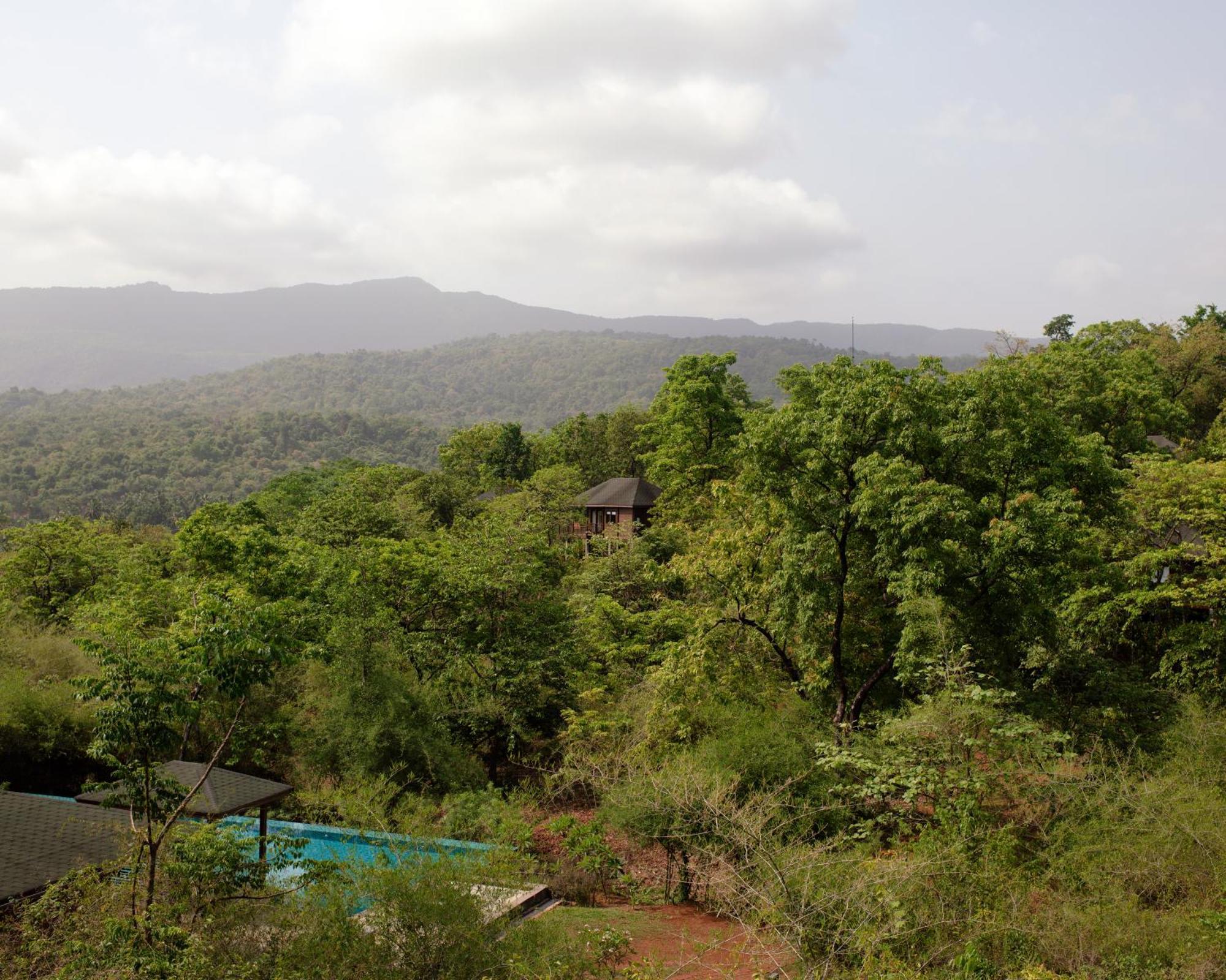 Hotel The Postcard Hideaway, Netravali Wildlife Sanctuary, Goa Vichondrem Zewnętrze zdjęcie